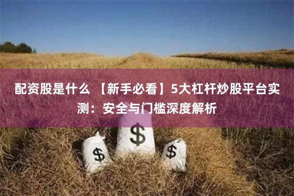 配资股是什么 【新手必看】5大杠杆炒股平台实测：安全与门槛深度解析