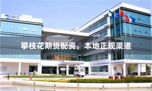 攀枝花期货配资，本地正规渠道