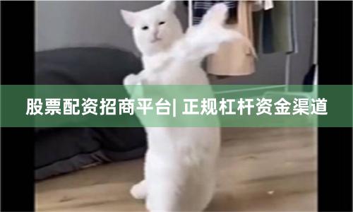 股票配资招商平台| 正规杠杆资金渠道