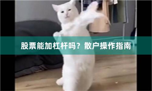 股票能加杠杆吗？散户操作指南